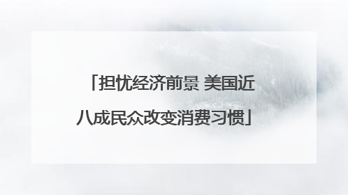 担忧经济前景 美国近八成民众改变消费习惯